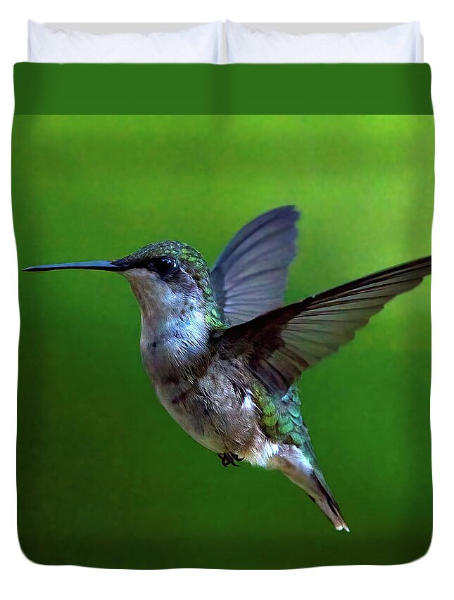 Hummingbird Duvet Cover featuring the photograph Hummingbird Hovers by Flinn Hackett