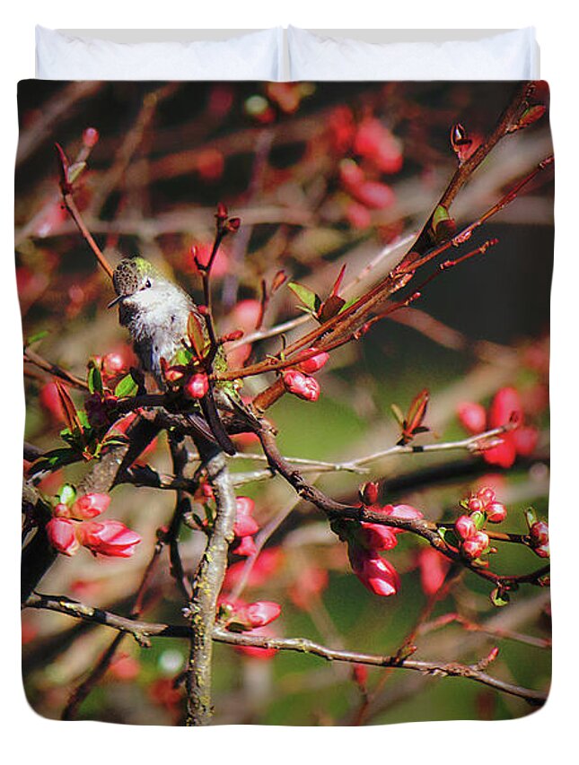 Hummingbird Duvet Cover featuring the photograph Hummingbird in Blossoms by Melanie Lankford Photography