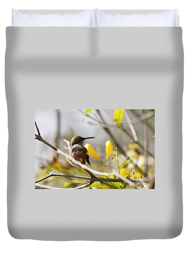 Hummingbirds Duvet Cover featuring the photograph Hummingbird looking back by Ernest Echols