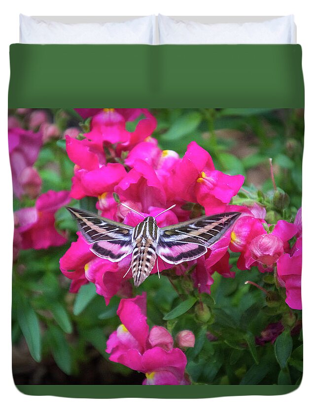 Colorado Flowers Duvet Cover featuring the photograph Hummingbird Moth and Pink Snapdragons by Debra Martz