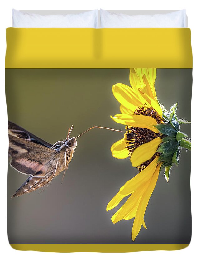 Hyles Lineata Duvet Cover featuring the photograph Hummingbird Moth Gathering Nectar by Debra Martz
