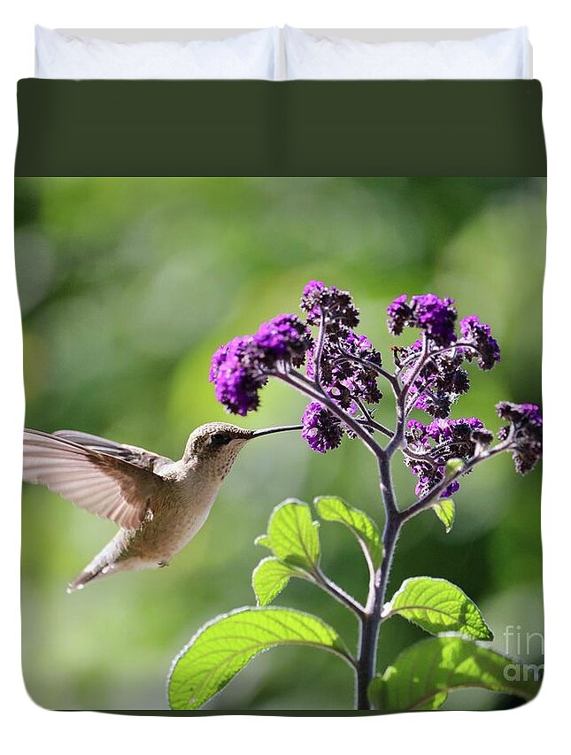 Hummingbird Duvet Cover featuring the photograph Hummingbird Sunshine and Purple Flowers by Carol Groenen