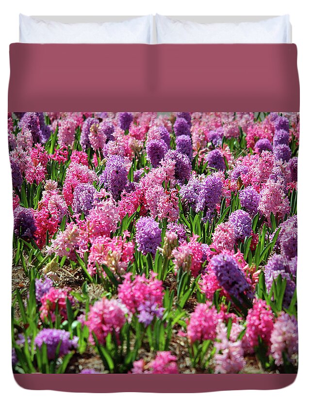 Hyacinth Duvet Cover featuring the photograph Hyacinth Colorful Flowerbed by Cynthia Guinn