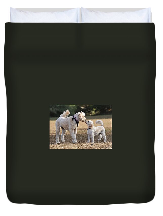 Dog Duvet Cover featuring the photograph I like you by John Linnemeyer