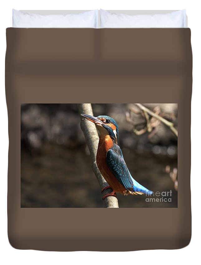 Nature Duvet Cover featuring the photograph I saw you then by Stephen Melia
