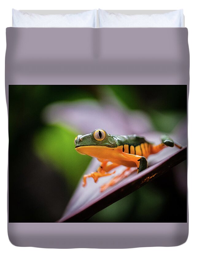 Frog Duvet Cover featuring the photograph I See You by Jim Miller