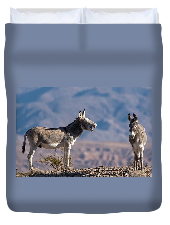 Wild Burros Duvet Cover featuring the photograph I told you by Mary Hone