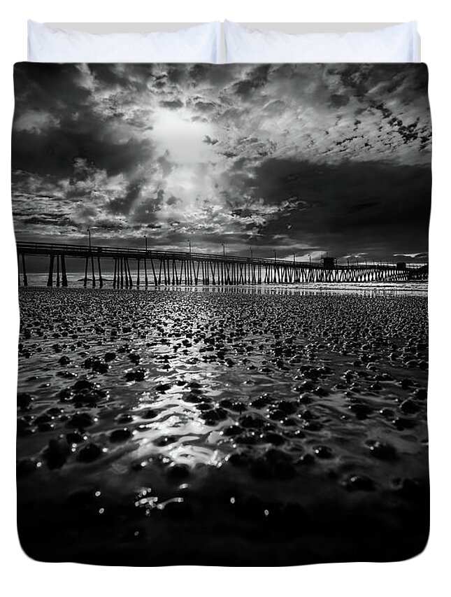 Beach Duvet Cover featuring the photograph IB in BW by Bill Chizek