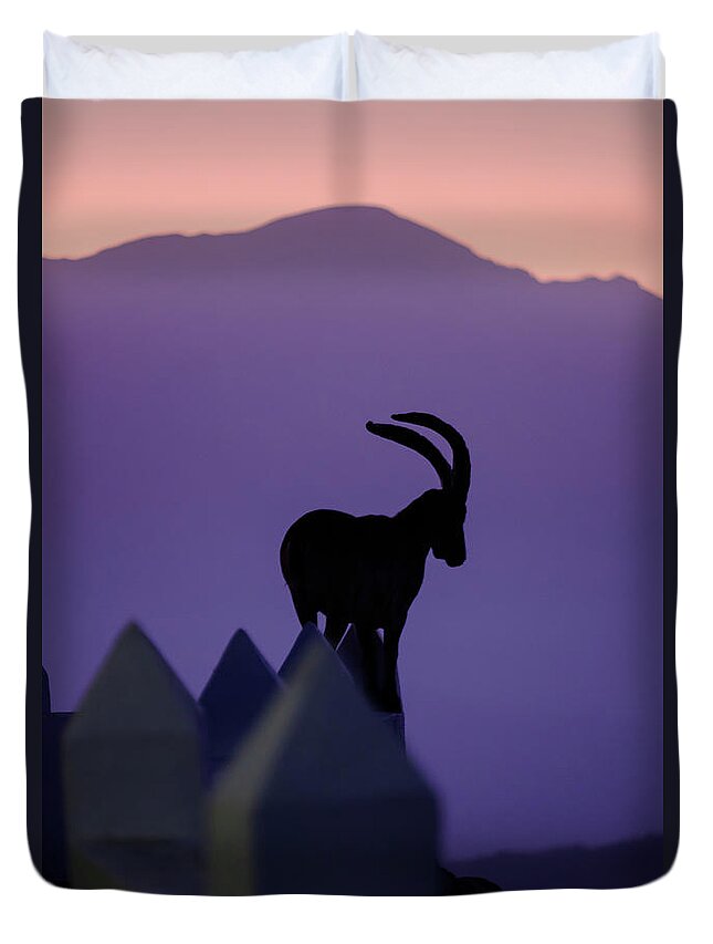 Andalucia Duvet Cover featuring the photograph Ibex and Mount Maroma by Gary Browne