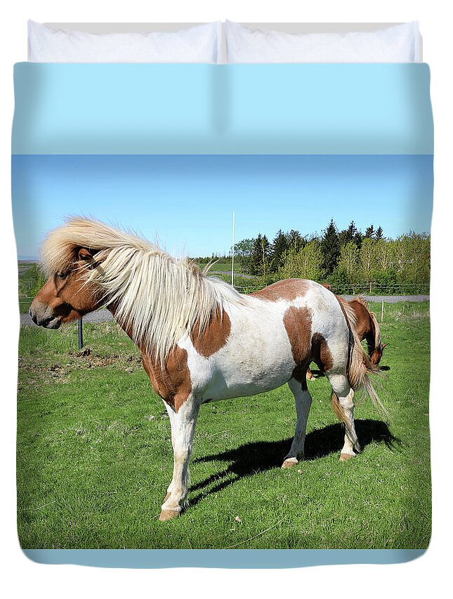 Horse Duvet Cover featuring the photograph Icelandic Horse by Richard Krebs