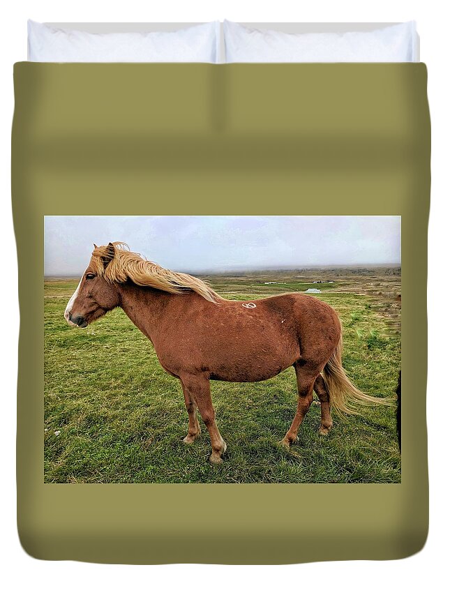 Iceland Duvet Cover featuring the photograph Icelandic horse by Yvonne Jasinski