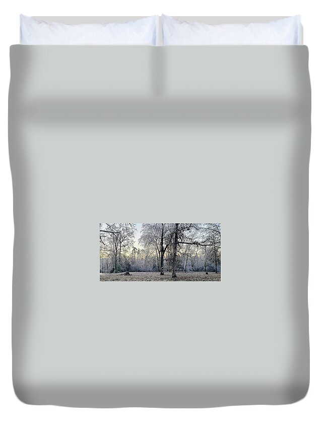 Historic Duvet Cover featuring the photograph Icy Morning at Silverbrook Gateway by GeeLeesa
