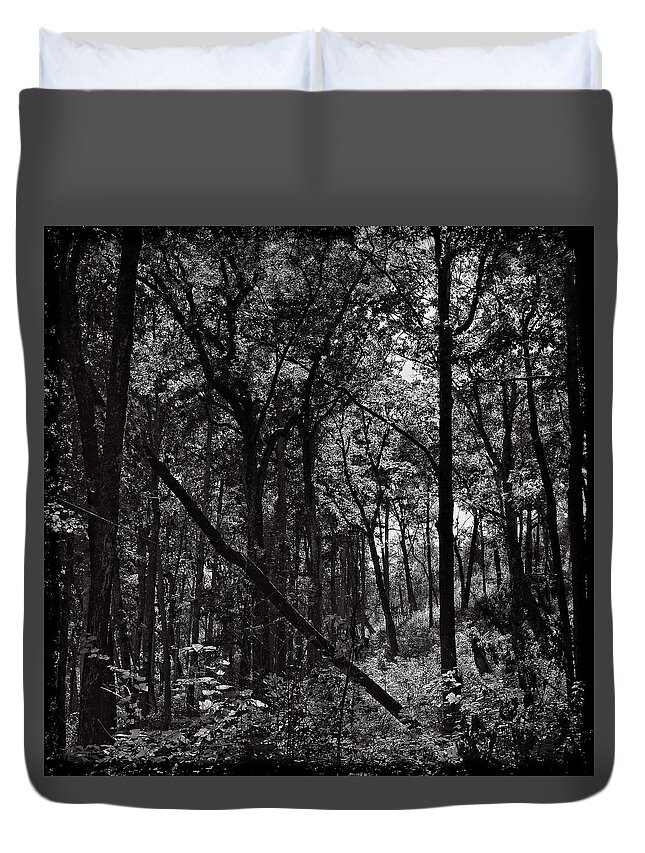 Tree Duvet Cover featuring the photograph If a Tree Falls by George Taylor