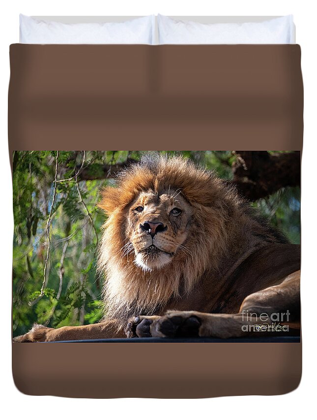 David Levin Photography Duvet Cover featuring the photograph I'm Looking at You by David Levin