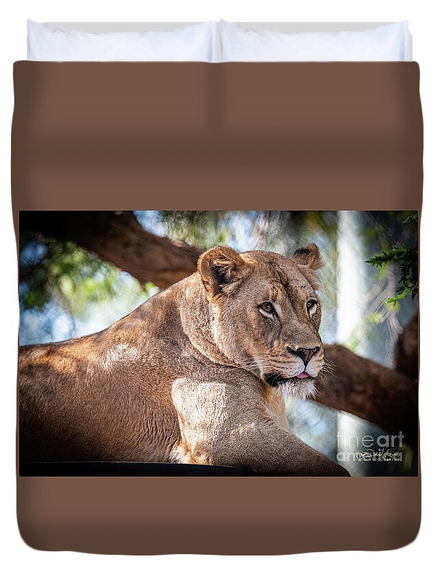 Cat Duvet Cover featuring the photograph I'm Not Watching You by David Levin