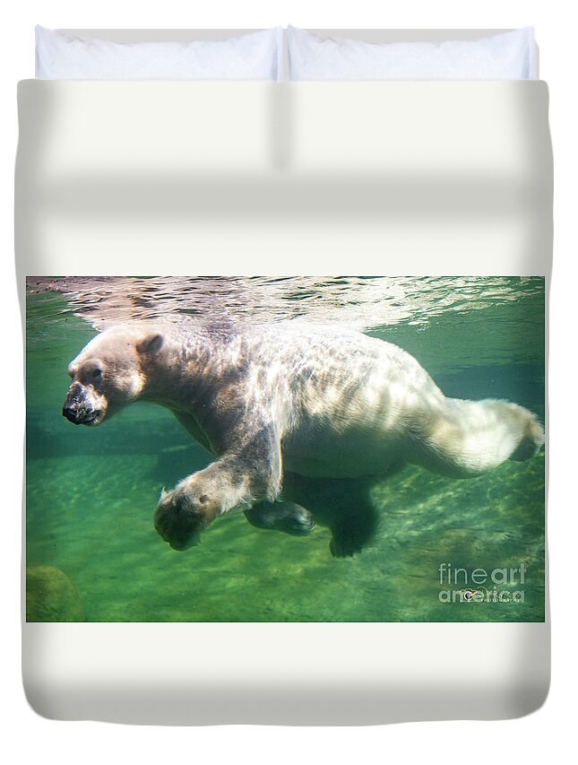 David Levin Photography Duvet Cover featuring the photograph I'm Swimming as Fast as I Can by David Levin