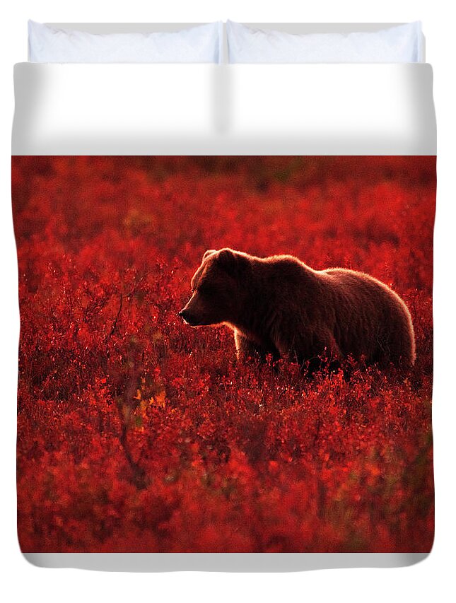 Adventure Duvet Cover featuring the photograph Imagination by Chad Dutson