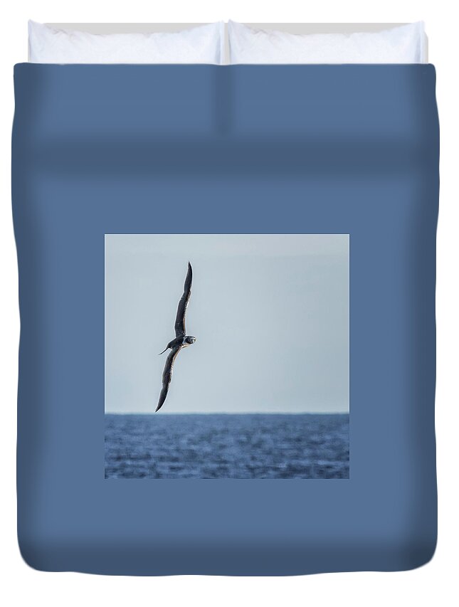 Masked Booby Duvet Cover featuring the photograph Immature Masked Booby, No. 5 sq by Belinda Greb