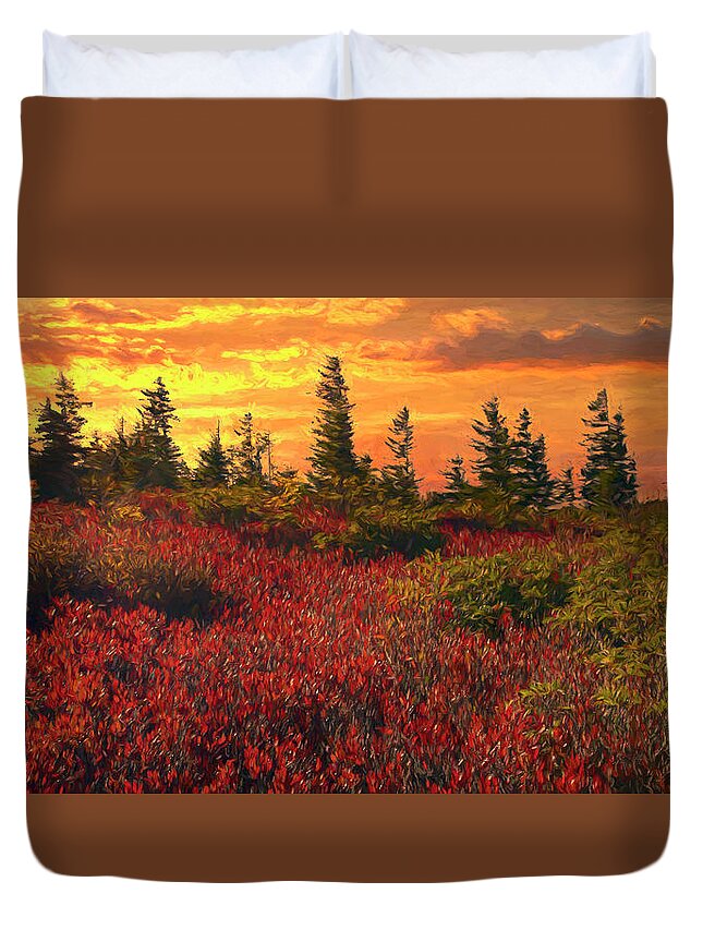 Dolly Sods Duvet Cover featuring the photograph Impressionistic Dolly Sods by Art Cole