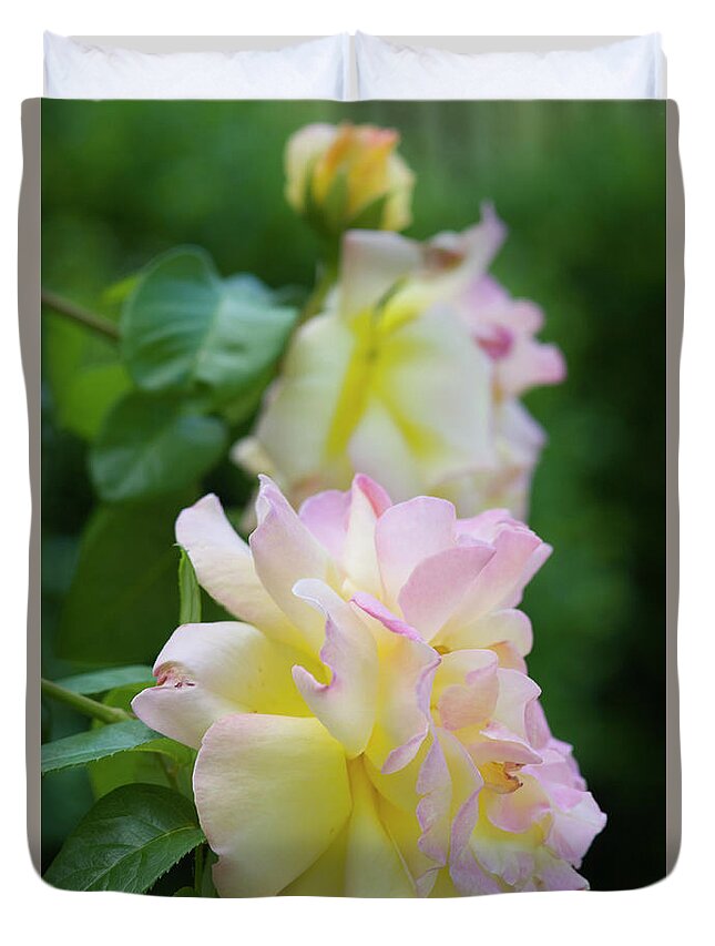 Roses Duvet Cover featuring the photograph In A Line by Melissa Southern