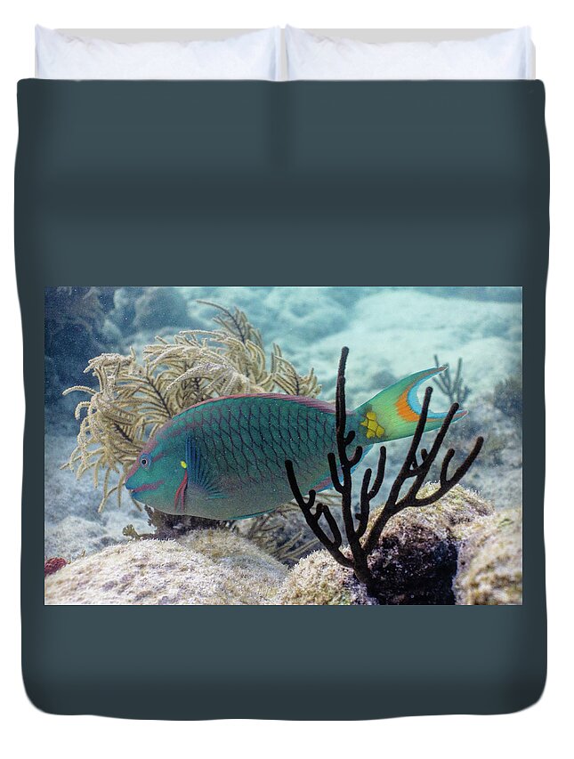 Stoplight Duvet Cover featuring the photograph In Between by Lynne Browne