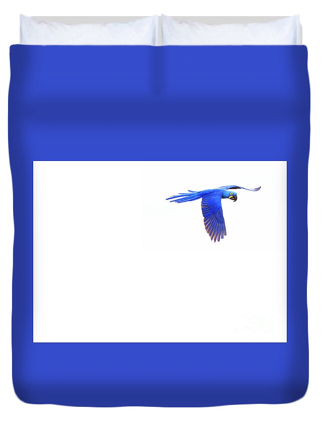 Hyacinth Duvet Cover featuring the photograph In flight 3of3 by Patrick Nowotny