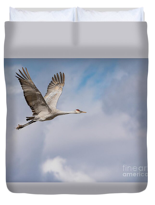 Bosque Del Apache Duvet Cover featuring the photograph In Flight by Maresa Pryor-Luzier