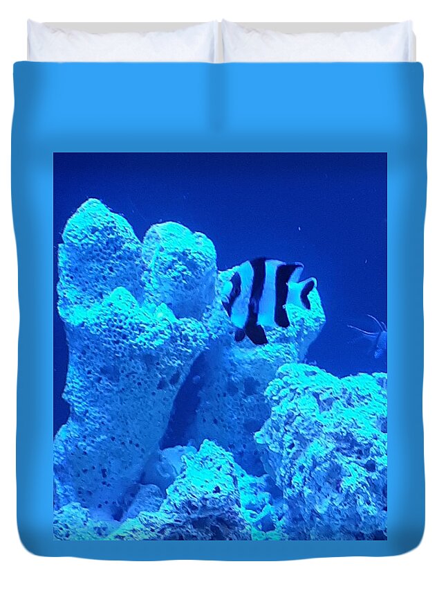 #salt #water #tank #aquarium #fish Duvet Cover featuring the photograph In The Blue by Belinda Lee