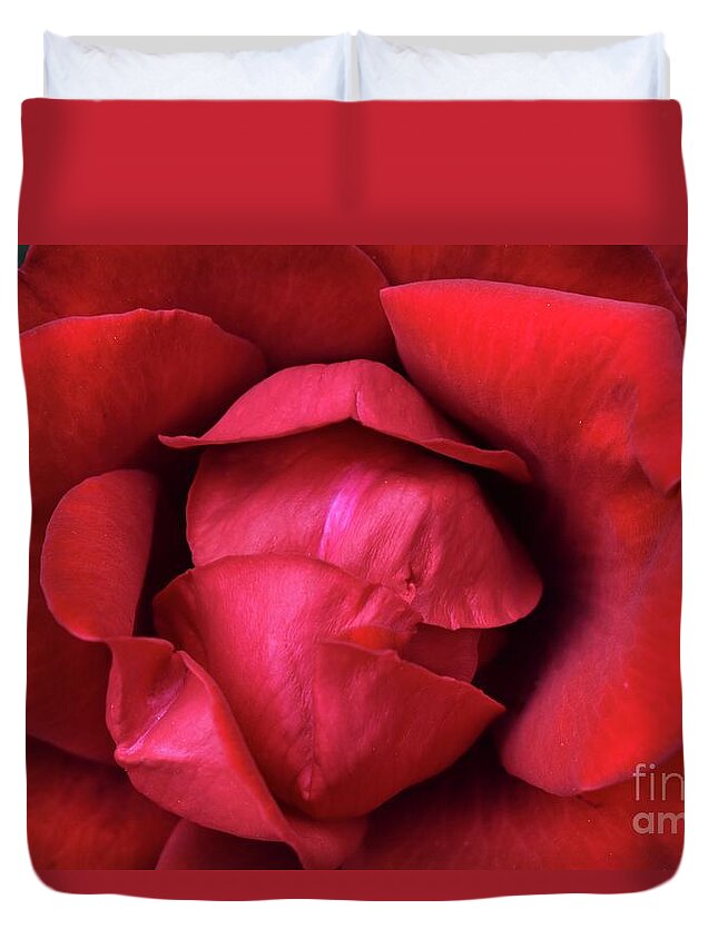 Nature Duvet Cover featuring the photograph In The Heart Of Rose Beauty by Leonida Arte