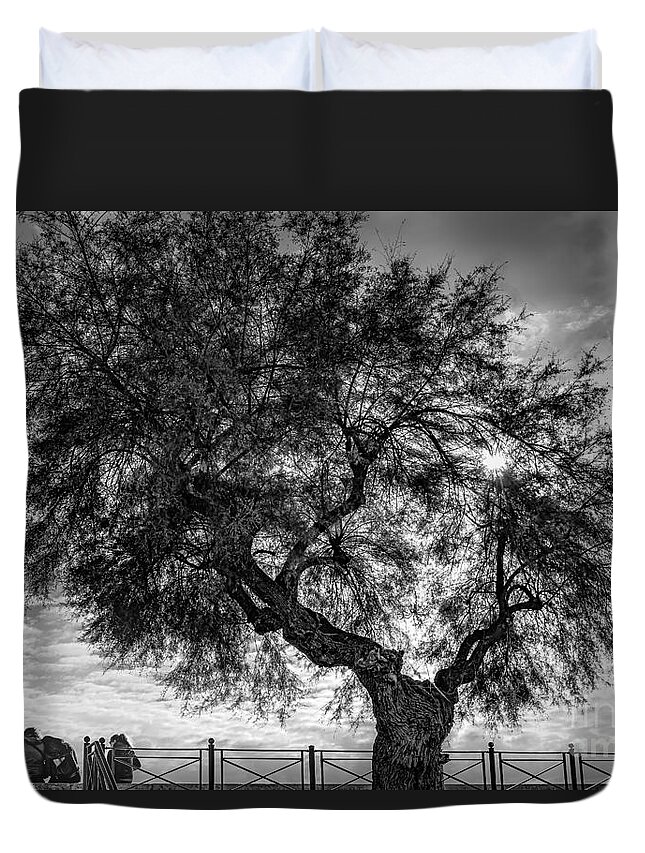 Scene Duvet Cover featuring the photograph In the shade of a large tree by The P