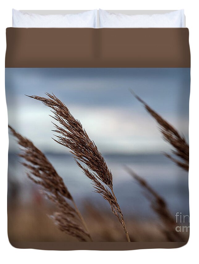 Breeze Duvet Cover featuring the photograph In the soft Breeze. by Daniel M Walsh