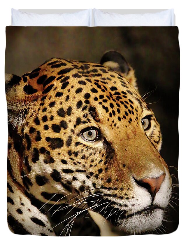 Jaguar Duvet Cover featuring the photograph Intense by Lens Art Photography By Larry Trager