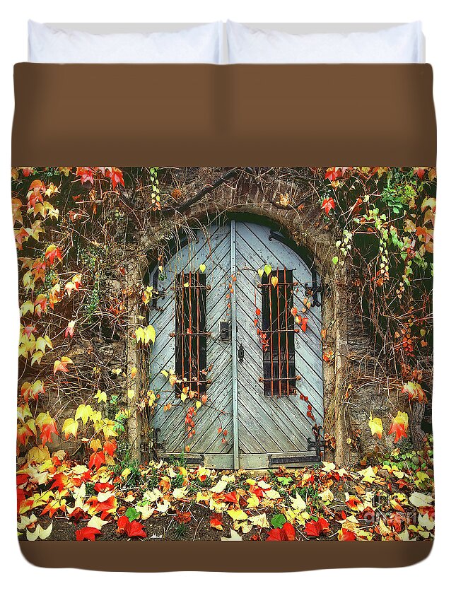 Doors Duvet Cover featuring the photograph International Colors by Don Schimmel