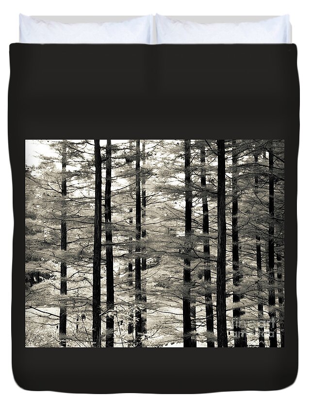 Monochrome Duvet Cover featuring the photograph Into The Woods by Ana V Ramirez