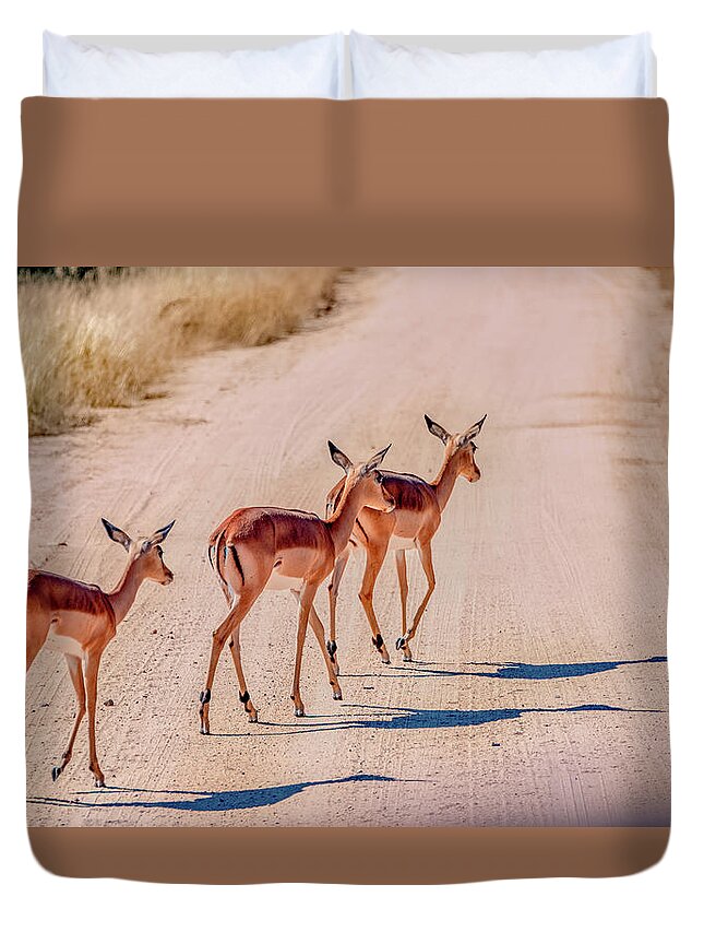 South Africa Duvet Cover featuring the photograph Intrepid Trio in Kruger National Park by Marcy Wielfaert