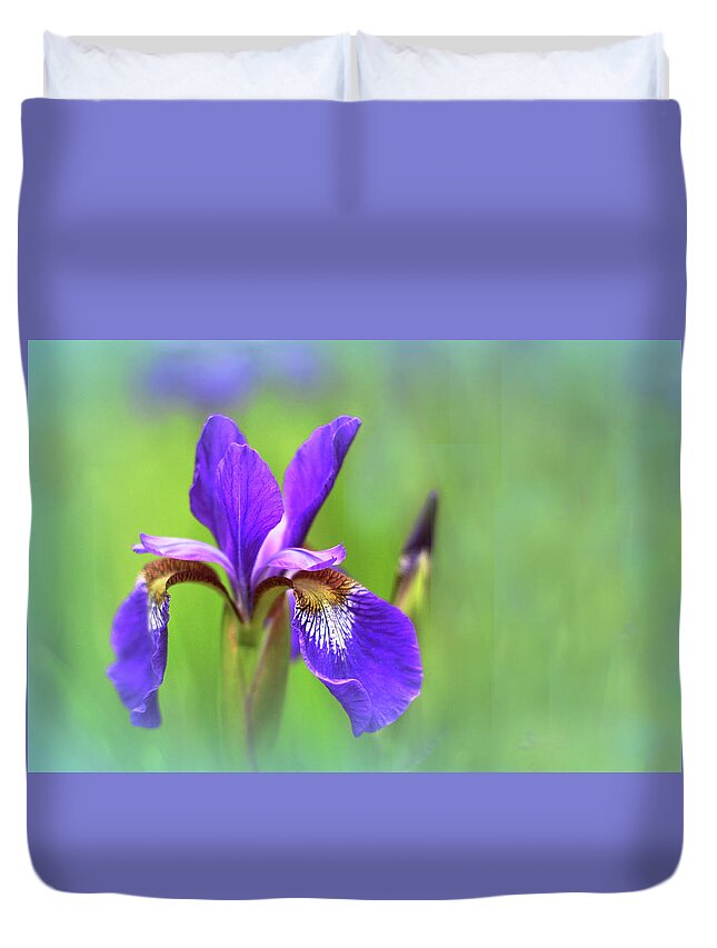 Iris Duvet Cover featuring the photograph Iris Elegance by Jessica Jenney