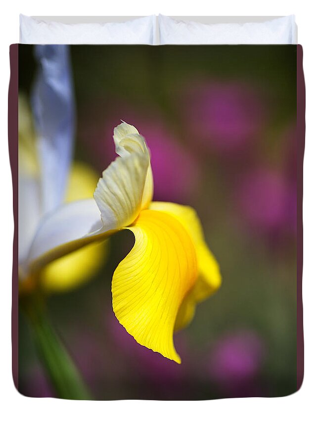Iridaceae Duvet Cover featuring the photograph Iris Side Face by Joy Watson