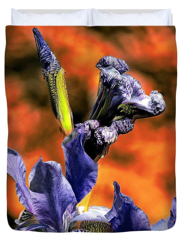 Flower Duvet Cover featuring the photograph Iris The Greek Goddess by Rob Hemphill