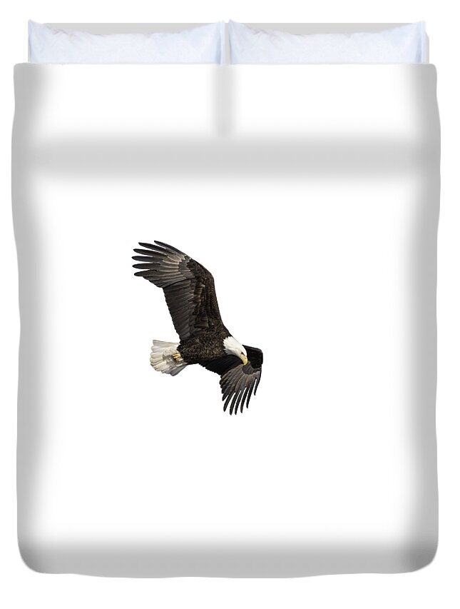 American Bald Eagle Duvet Cover featuring the photograph Isolated Bald Eagle 2019-13 by Thomas Young