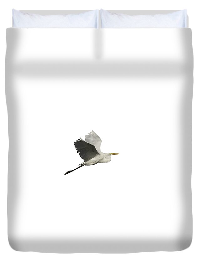 Great Egret Duvet Cover featuring the photograph Isolated Great Egret 2016 by Thomas Young