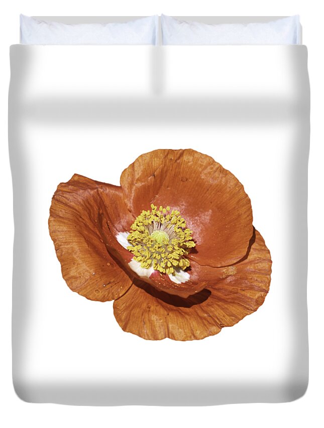 Poppy Duvet Cover featuring the photograph Isolated Poppy 2021-1 by Thomas Young