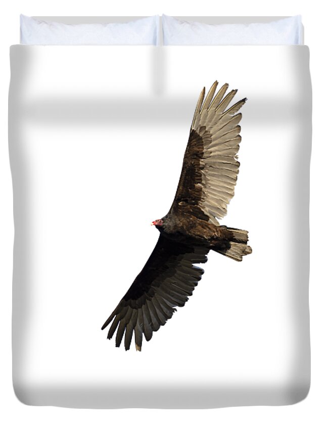 Turkey Vulture Duvet Cover featuring the photograph Isolated Turkey Vulture 2020-2 by Thomas Young