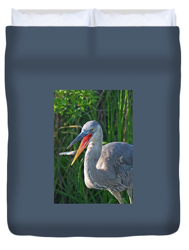 Birds Duvet Cover featuring the photograph I've Got You by Bruce Gourley