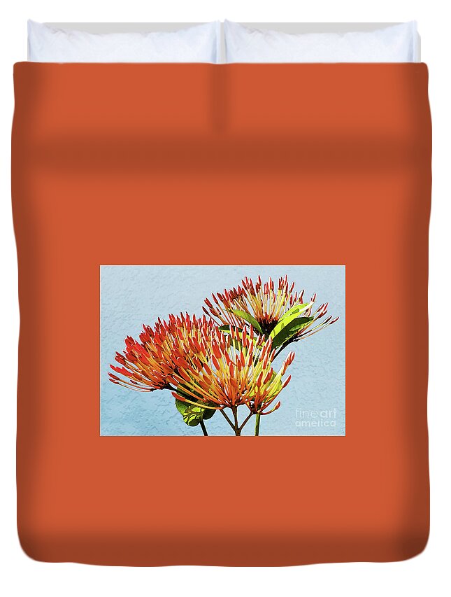 Still Life Duvet Cover featuring the mixed media Ixora Blooming in Watercolor by Sharon Williams Eng