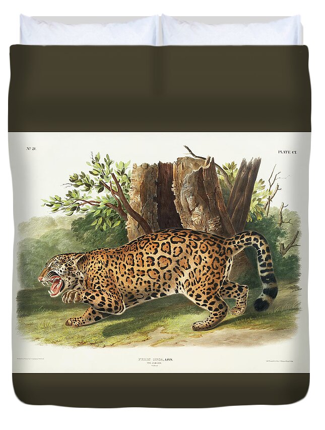America Duvet Cover featuring the mixed media Jaguar. John Woodhouse Audubon Illustration by World Art Collective
