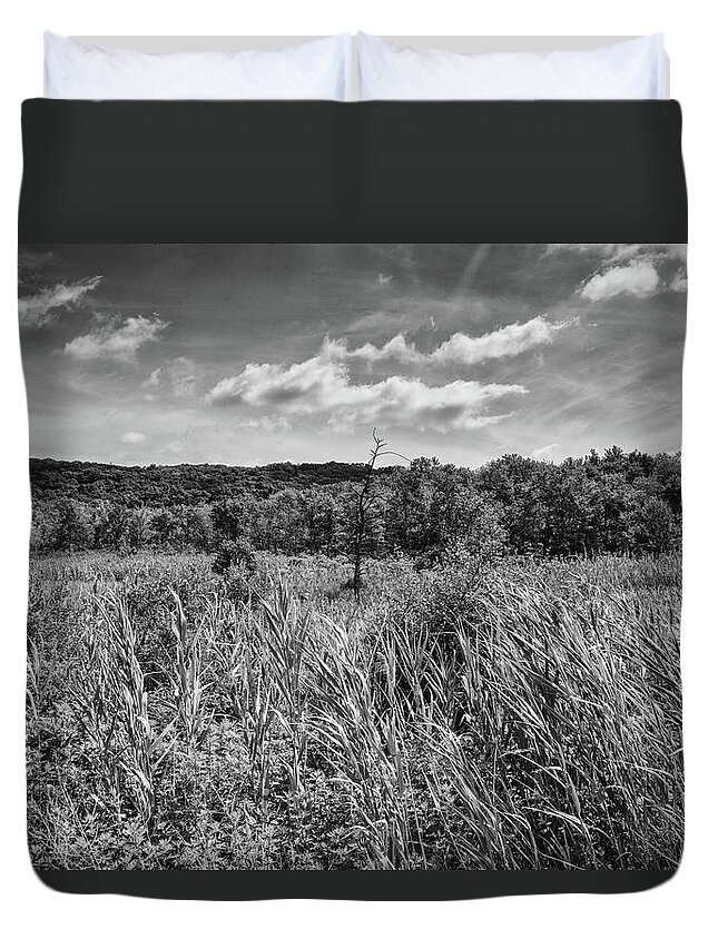 Tree Duvet Cover featuring the photograph Janet's Tree Reaching for the Sky by Alan Goldberg