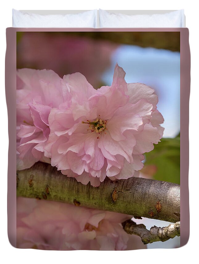 Flower Duvet Cover featuring the photograph Japanese Flowering Cherry 4 by Dawn Cavalieri