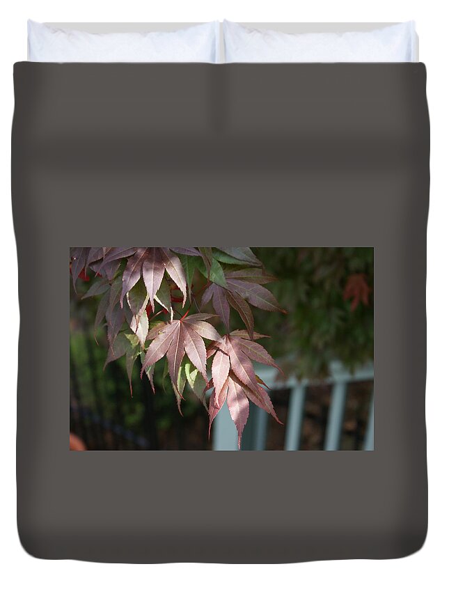  Duvet Cover featuring the photograph Japanese Maple by Heather E Harman