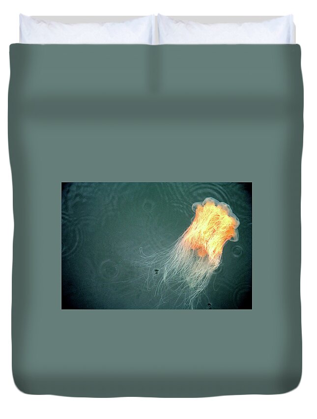 Orange Duvet Cover featuring the photograph Jellofish Exit Stage Left by Kreddible Trout