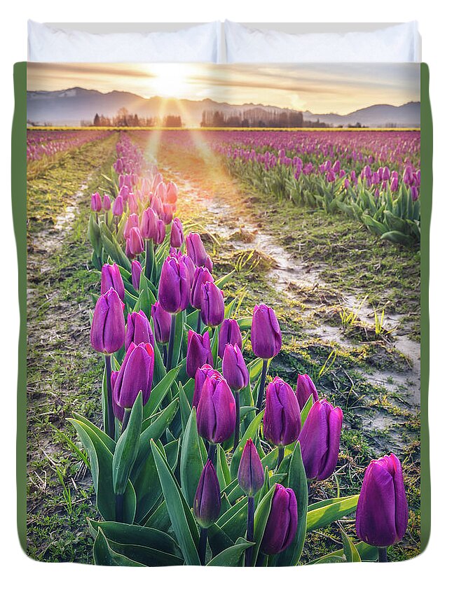 Tulips Duvet Cover featuring the photograph Jewel Tone Tulips by Michael Rauwolf